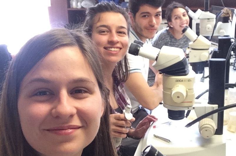 grupo4_2